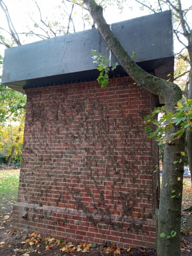 IMG_20201020_131035_137