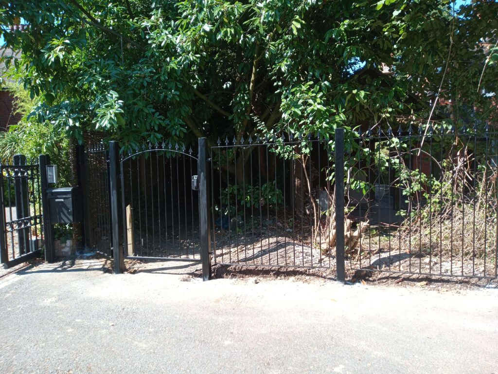 IMG_20220809_110218_759